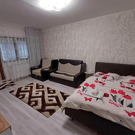 Апартаменти Garsoniera George Тиргу-Окна Екстер'єр фото