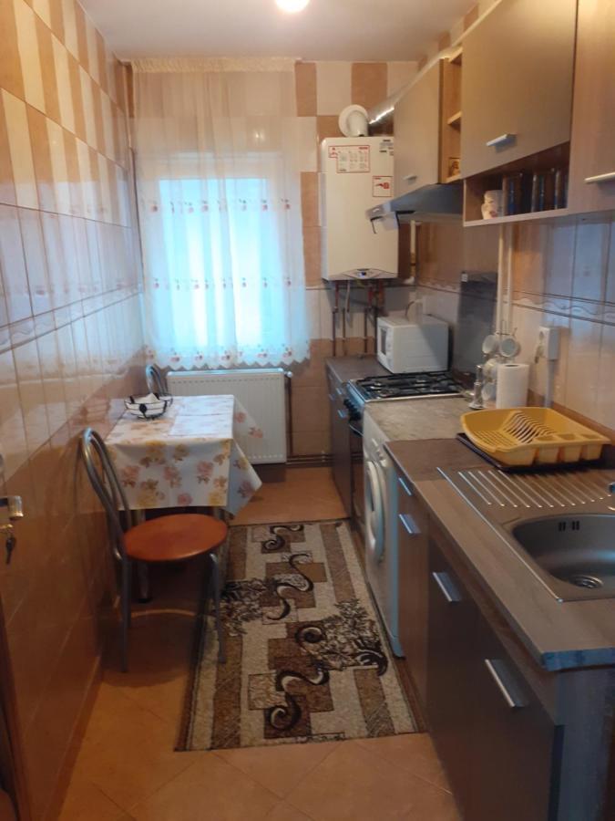 Апартаменти Garsoniera George Тиргу-Окна Екстер'єр фото